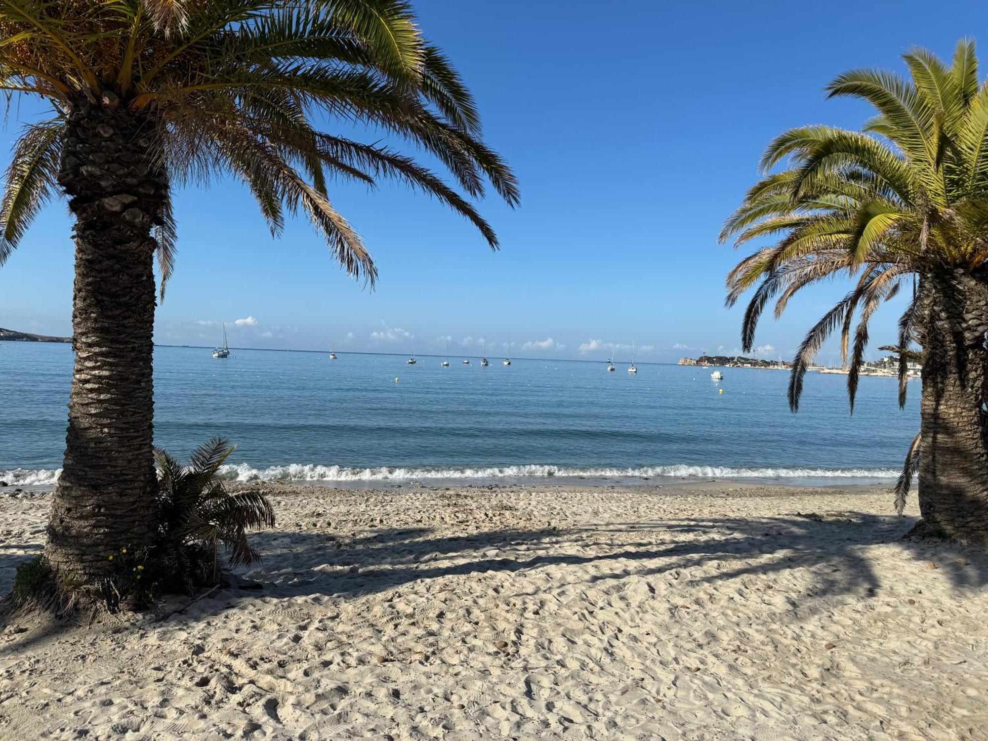T3 Neuf Avec Terrasse Et Jardin Face A La Mer باندول المظهر الخارجي الصورة