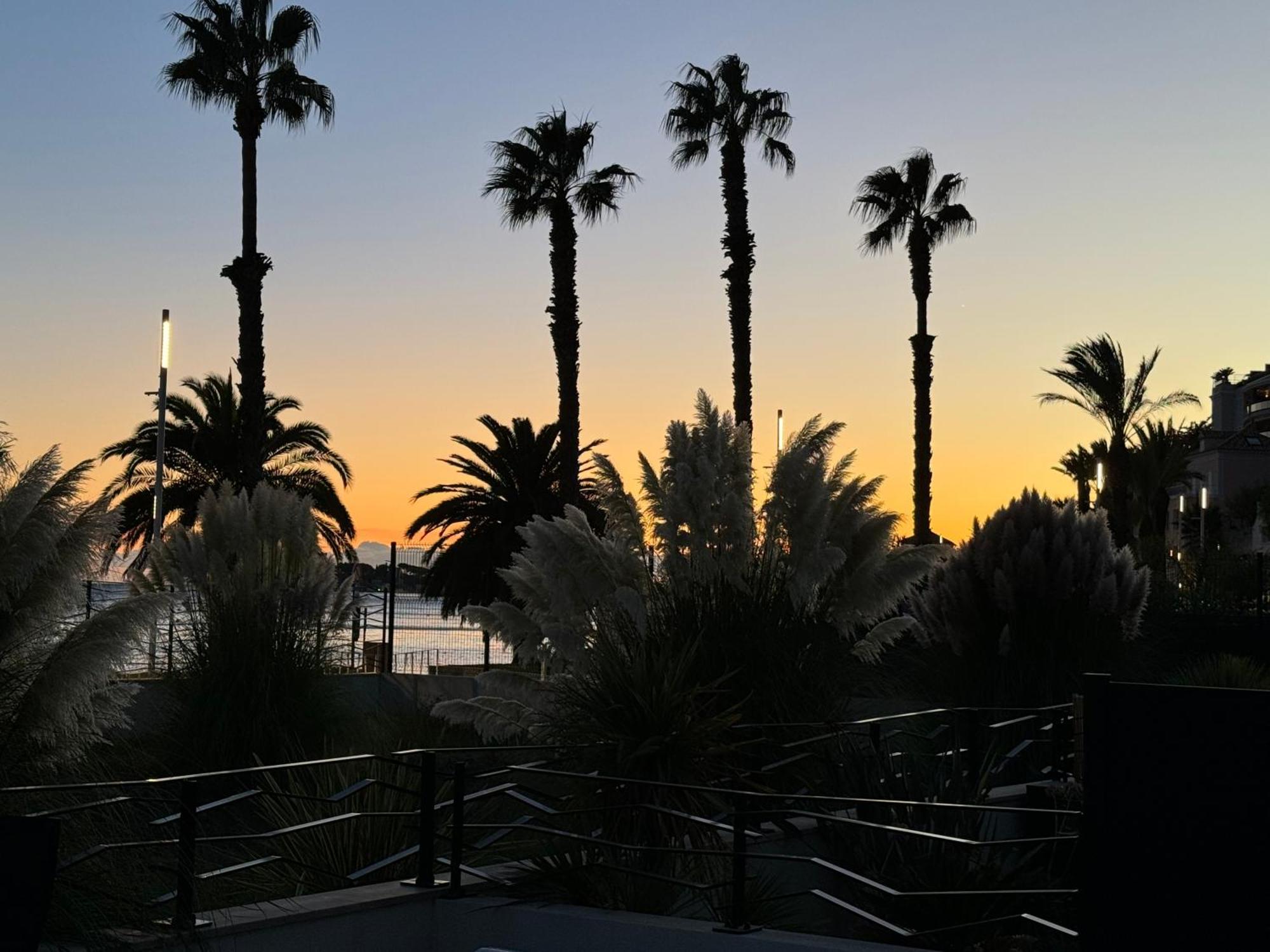 T3 Neuf Avec Terrasse Et Jardin Face A La Mer باندول المظهر الخارجي الصورة